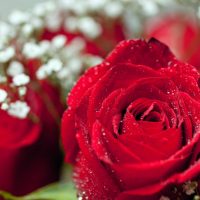 Valentines Day Riddle Poem